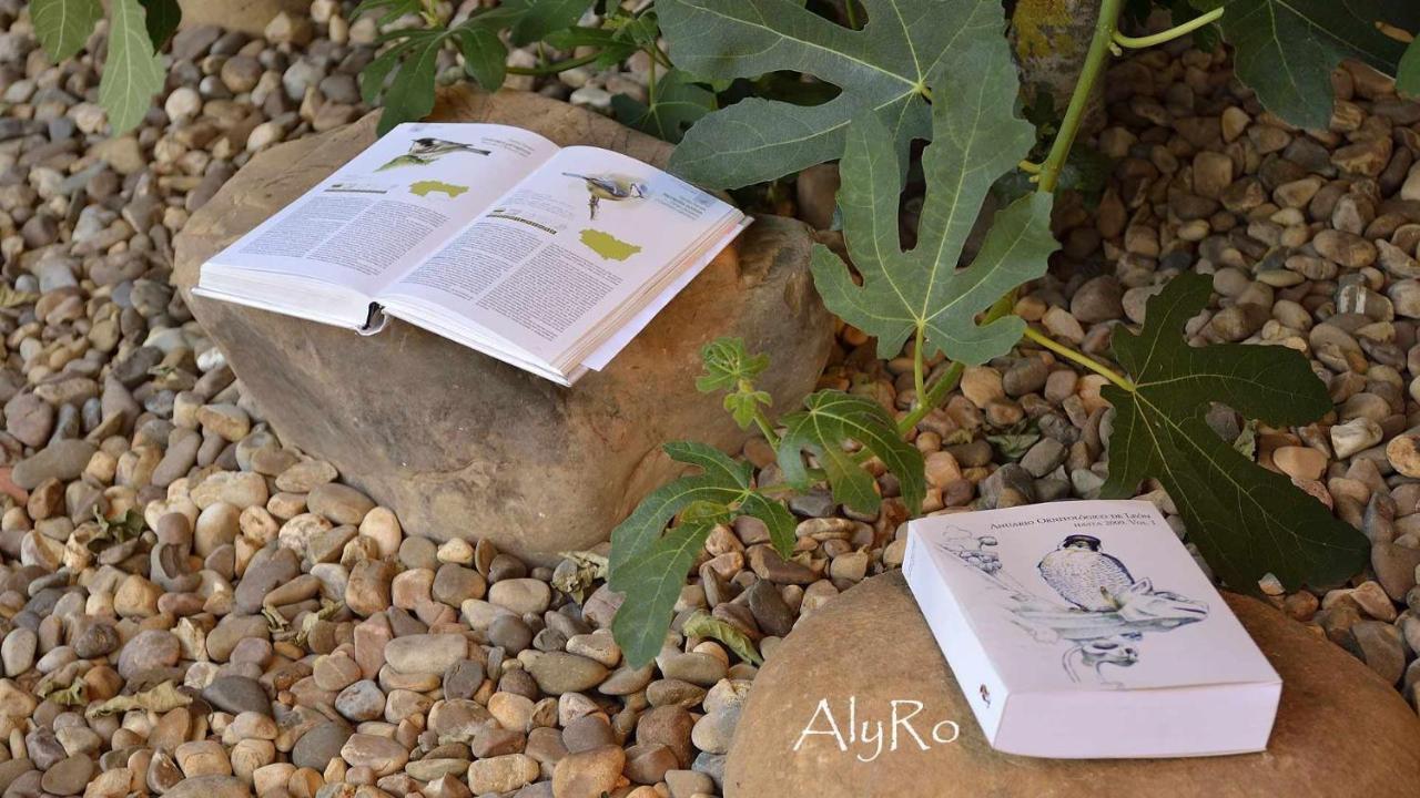 Cerezales del Condado El Vallin De Lan מראה חיצוני תמונה